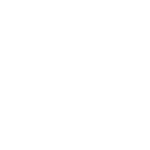 Professionelle Website erstellen lassen 30 Website Betreuung Icon